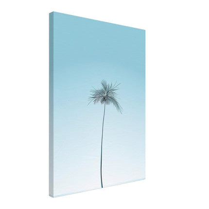 Majestic Palm