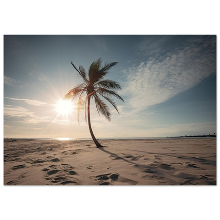 Deserted Palm