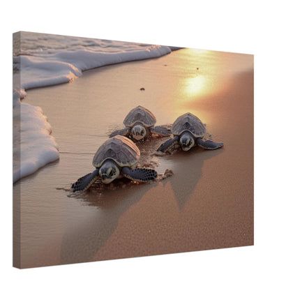 March Of The Sea Turtles