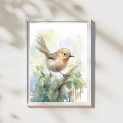 Bird's Secret Spot