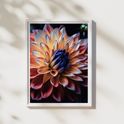 Multicolored Flower Spectrum