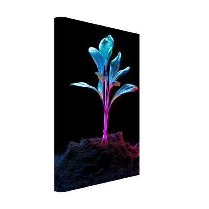Unfolding Growth