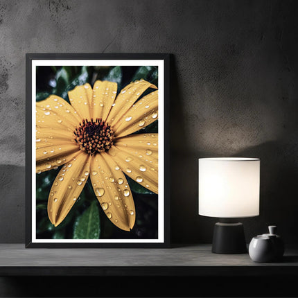 Golden Blooms In Dew