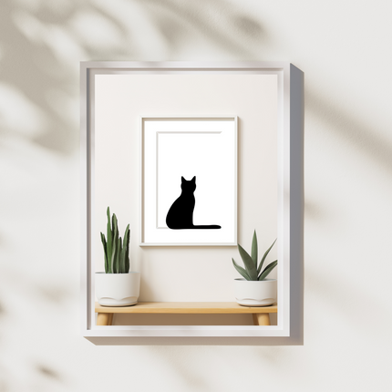 Observing Cat