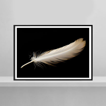 Feather's Fade