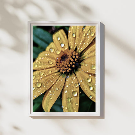 Glistening Yellow Petals