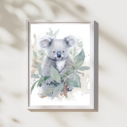 Koala Oasis