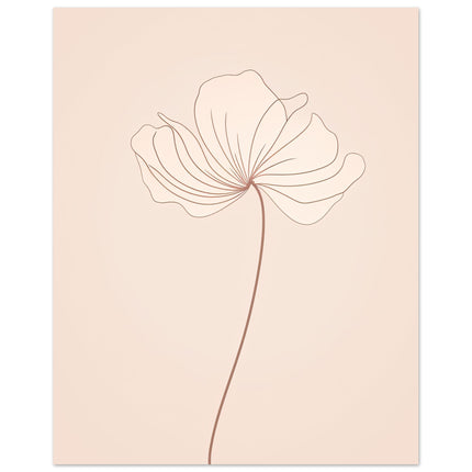 Delicate Petals