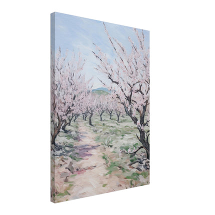Cherry Blossom Trees