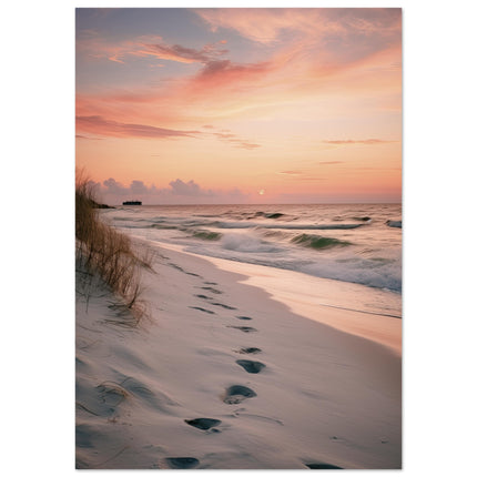 Seaside Dreams