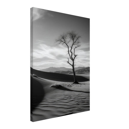 Desert Landscape