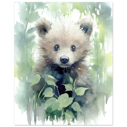 Bear In Nature