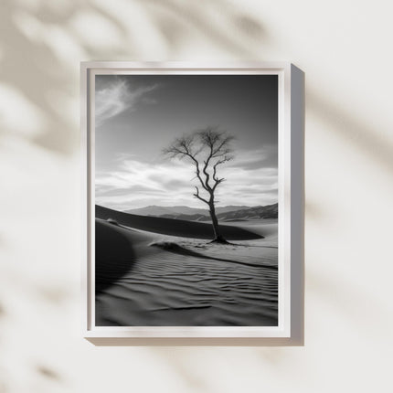 Desert Landscape