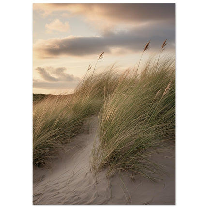 Sandy Serenity