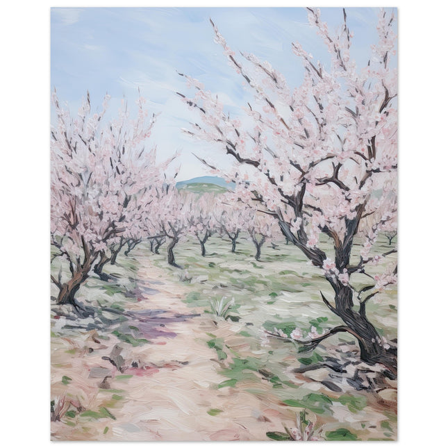 Cherry Blossom Trees