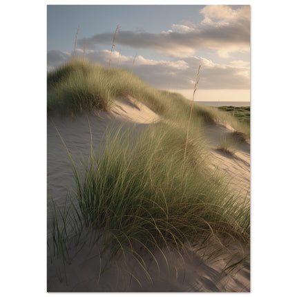 Beach Dunes