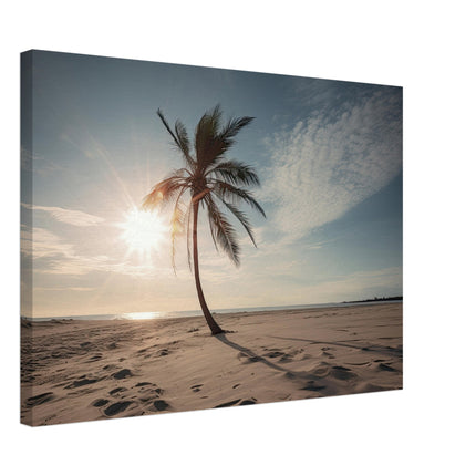 Deserted Palm