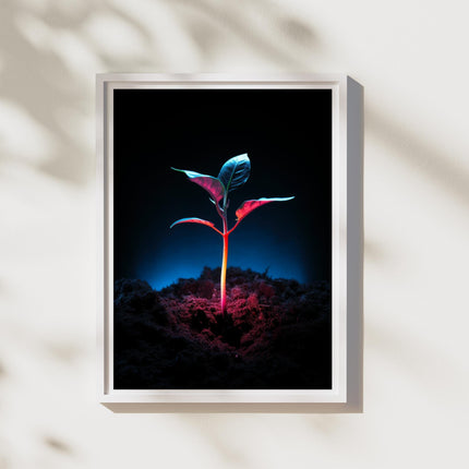 Nature's Growth