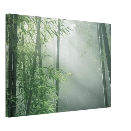 Bamboo Grove