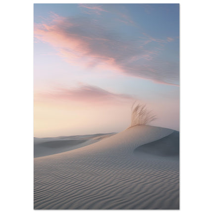 Dune Dreams