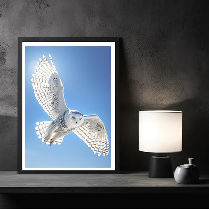 Flight Of The Snow Owl