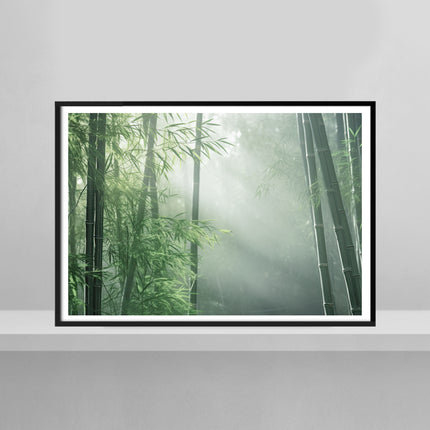 Bamboo Grove