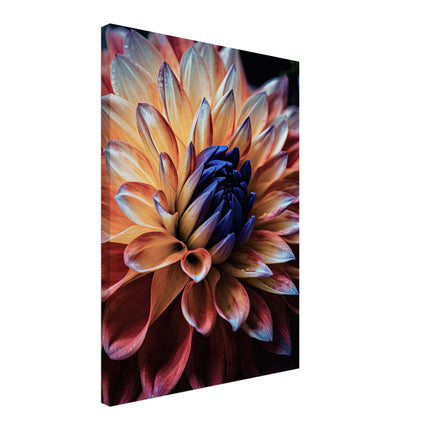 Multicolored Flower Spectrum