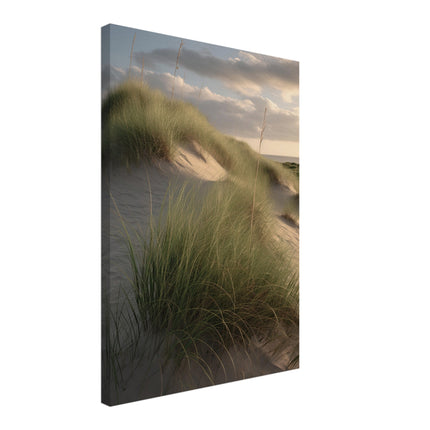 Beach Dunes