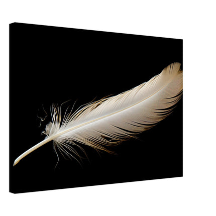 Feather's Fade