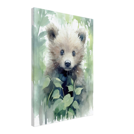 Bear In Nature