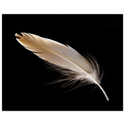Feathery Softness