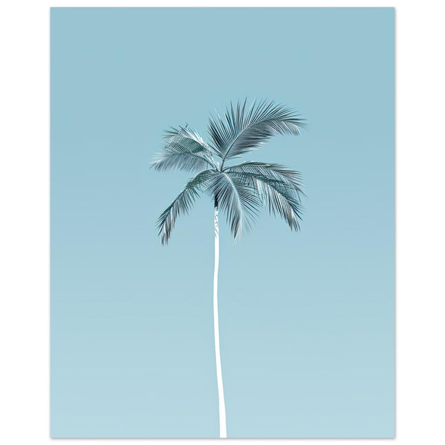 Palm Paradise