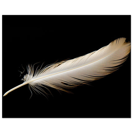 Feather's Fade