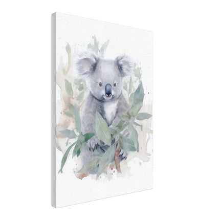 Koala Oasis