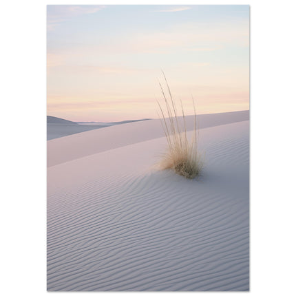 Desert Idyll
